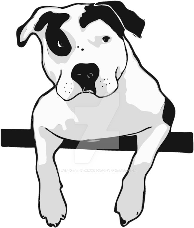 Pit T Bone By Wip Kitten Amanda - Pit T Bone By Wip Kitten Amanda (774x1032)