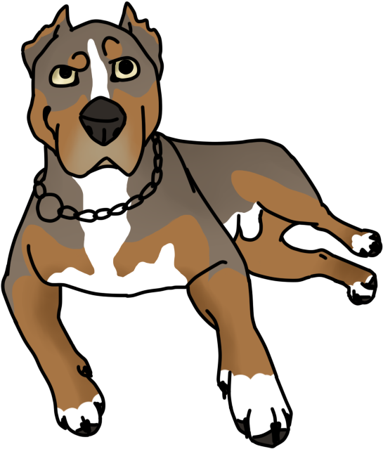 Tegu The Rottweiler Pitbull Mix By Tyranatus - Tegu The Rottweiler Pitbull Mix By Tyranatus (660x768)
