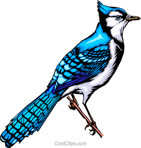 Bluebird Royalty Free Vector Clip Art Illustration - Bluebird Royalty Free Vector Clip Art Illustration (459x480)