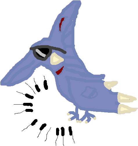 Jay Clipart Rare Bird - Jay Clipart Rare Bird (488x503)