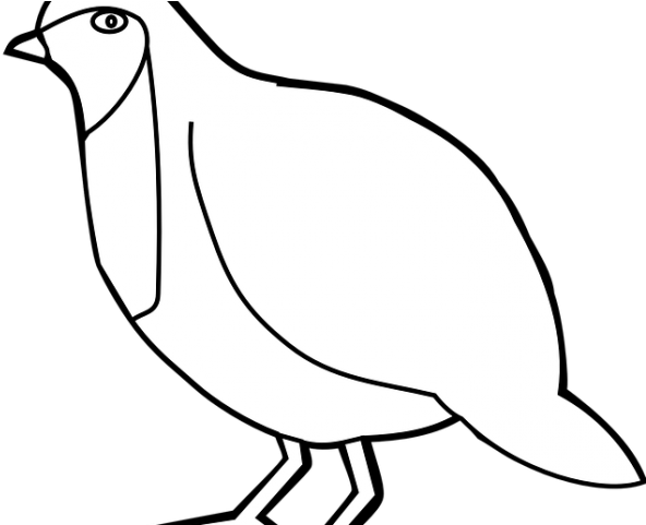 Blue Jay Clipart Burung - Blue Jay Clipart Burung (640x480)