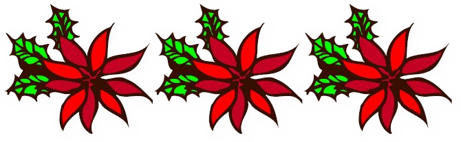Poinsettias - Poinsettias (670x207)