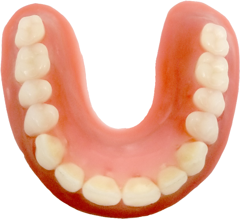 Pre-waxed Dentures - Pre-waxed Dentures (1000x1000)