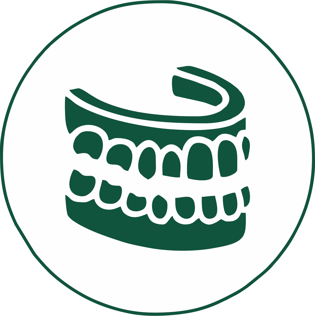 Dentures - Dentures (1240x1242)