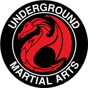 Flowery Branch Jiu-jitsu Instruction, Children's Boxing - Flowery Branch Jiu-jitsu Instruction, Children's Boxing (473x470)