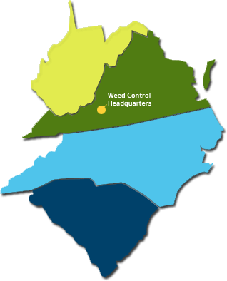 Professional Weed Control And Vegetation Management - Professional Weed Control And Vegetation Management (318x394)