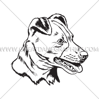 Jack Russell - Jack Russell (385x385)