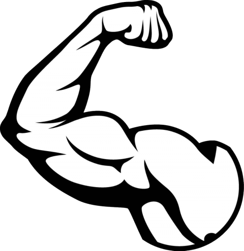 Download Muscle Clipart Png Photo - Download Muscle Clipart Png Photo (480x495)