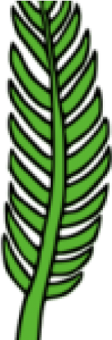 Tropics Clipart Palm Branches - Tropics Clipart Palm Branches (640x480)