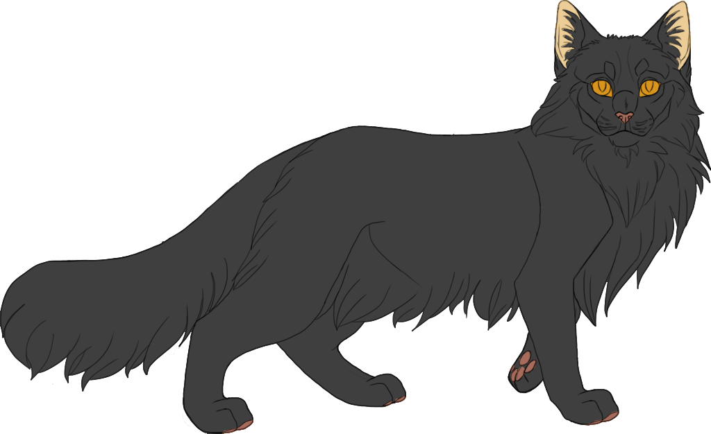 Clip Art Png Transparent Library Techflourish - Clip Art Png Transparent Library Techflourish (1024x626)