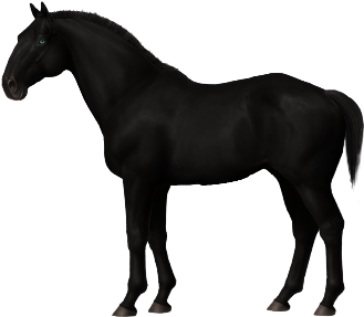 Clip Art Black Horse With Blue Eyes - Clip Art Black Horse With Blue Eyes (450x300)