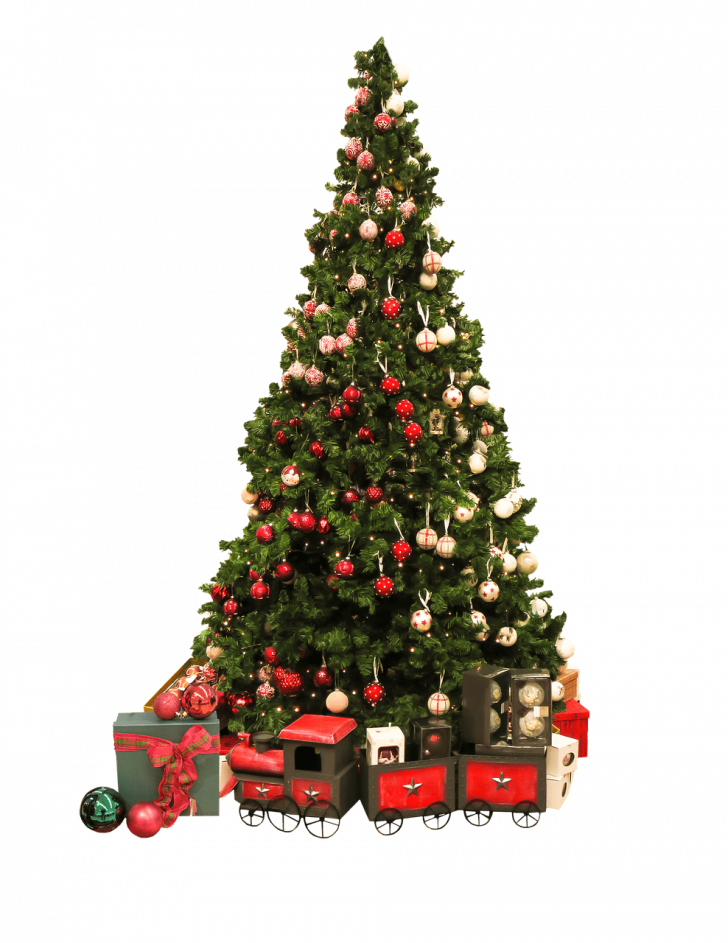 Medium Size Of Christmas Tree - Medium Size Of Christmas Tree (728x943)