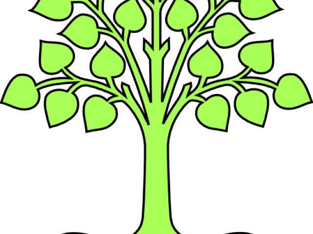 Fig Clipart Transparent - Fig Clipart Transparent (640x480)