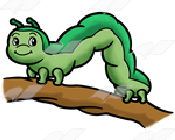 Inchworm Clipart 6 Inch - Inchworm Clipart 6 Inch (640x480)