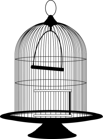 Bird Cage - Bird Cage (400x537)