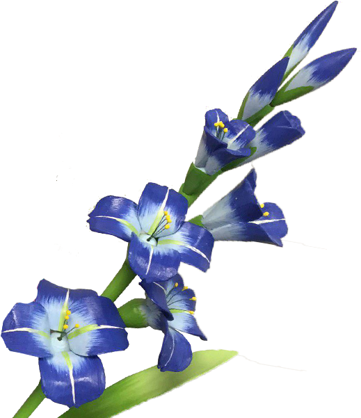Clip Art Blue Gladiola - Clip Art Blue Gladiola (600x600)