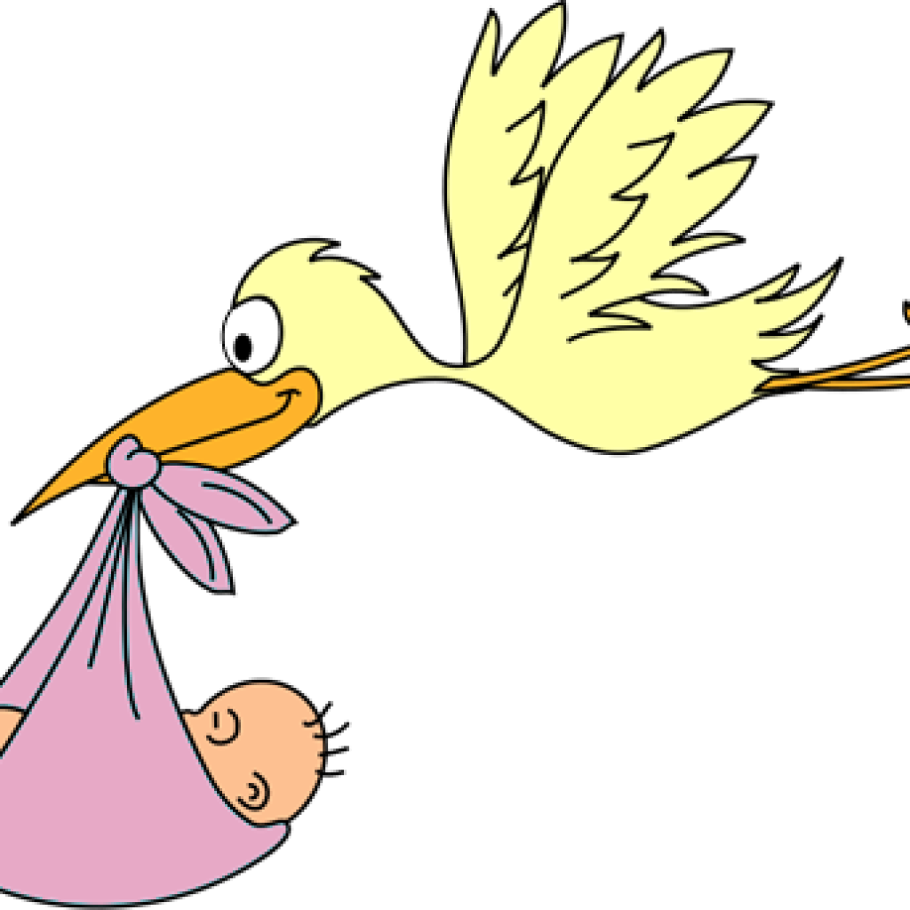 Animated Baby Clipart Stork Ba Clipart Free Graphics - Animated Baby Clipart Stork Ba Clipart Free Graphics (1024x1024)