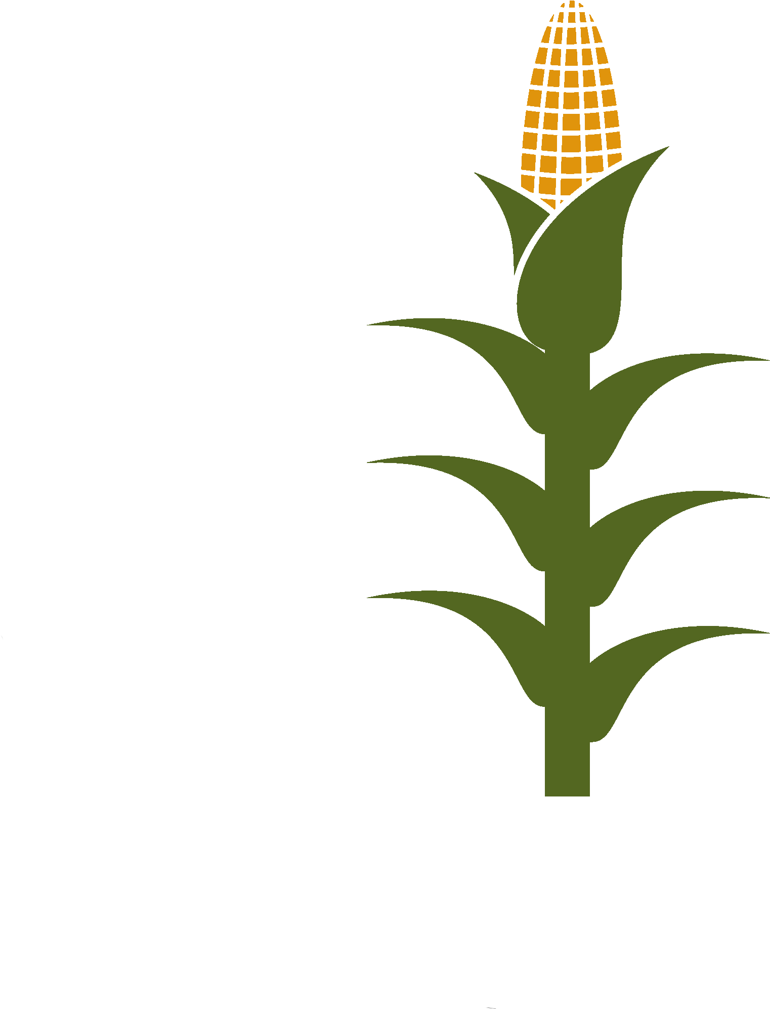 Nearly 50% Of Arable Soils Are Low In Zn, Limiting - Nearly 50% Of Arable Soils Are Low In Zn, Limiting (2429x2429)