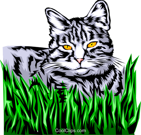 Domestic Cat Royalty Free Vector Clip Art Illustration - Domestic Cat Royalty Free Vector Clip Art Illustration (480x459)