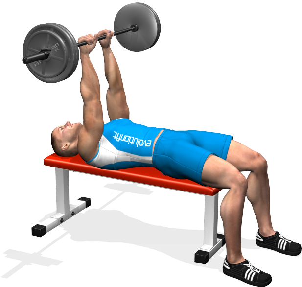 Clip Art Lying Barbell Involved Muscles - Clip Art Lying Barbell Involved Muscles (700x700)