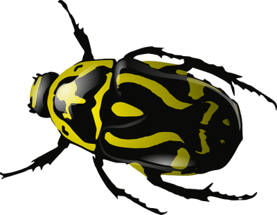 Beetle Clip Art Free Png - Beetle Clip Art Free Png (400x311)