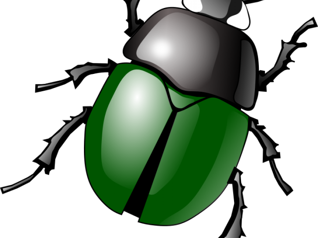 Beatle Clipart Stink Bug - Beatle Clipart Stink Bug (640x480)