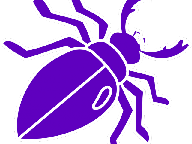 Beatle Clipart Insect Animal - Beatle Clipart Insect Animal (640x480)