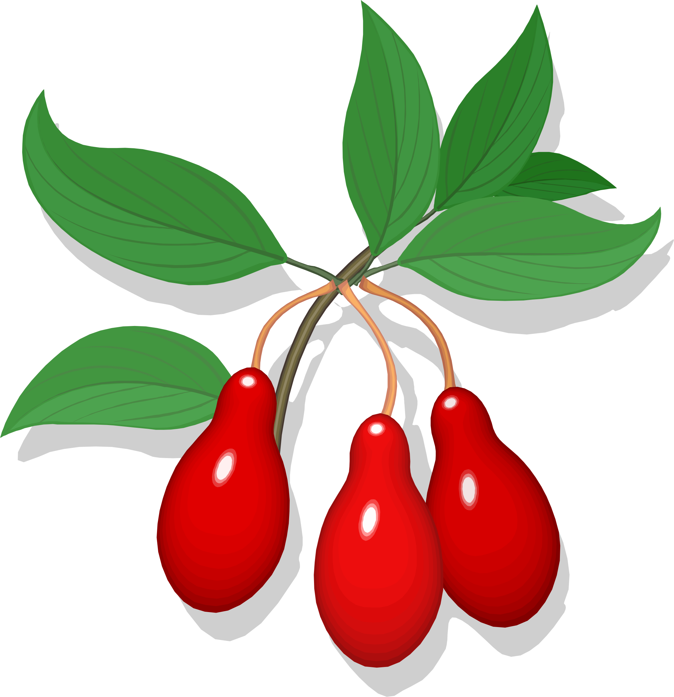 Cherry Line Art Fruit Auglis Drawing - Cherry Line Art Fruit Auglis Drawing (2245x2322)