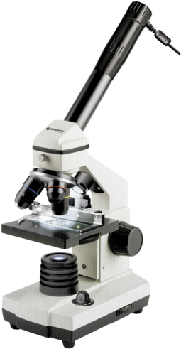 Parque De Izki - Parque De Izki (264x500)