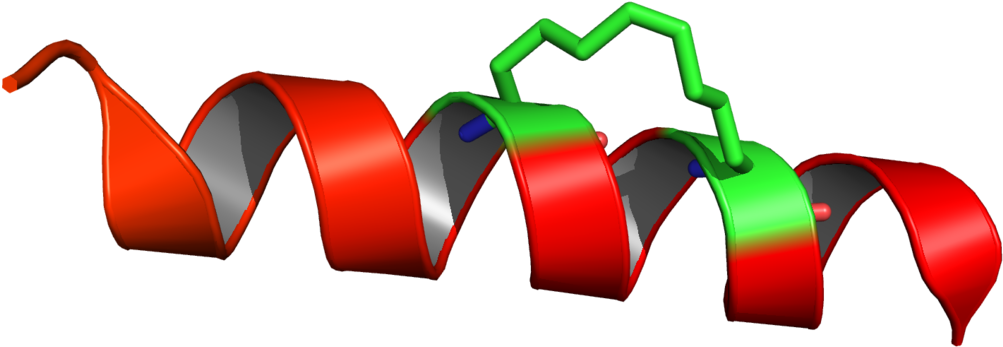 Clipart Paper Stapled - Clipart Paper Stapled (1200x678)