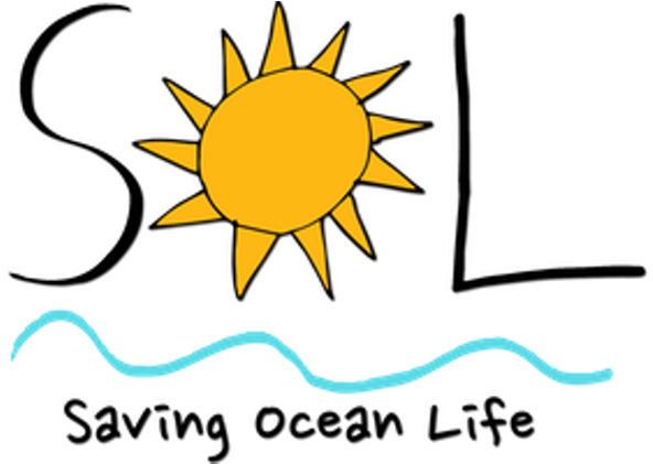 Sol S Second Annual Trash Hunt Margaritaville - Sol S Second Annual Trash Hunt Margaritaville (745x420)