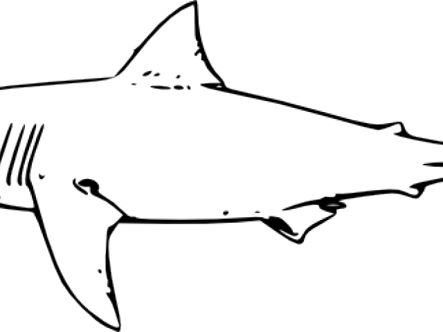 Great White Shark Clipart Cartoon - Great White Shark Clipart Cartoon (640x480)
