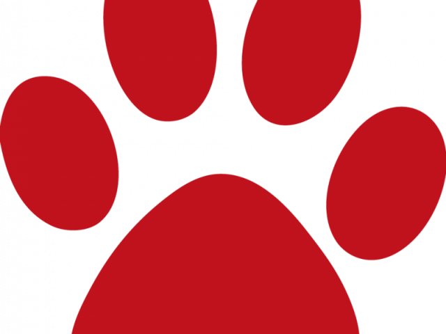 Cougar Clipart Red Panther - Cougar Clipart Red Panther (640x480)