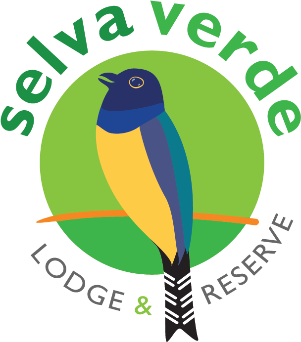 Founded By Giovanna Holbrook To Protect The Biodiversity - Founded By Giovanna Holbrook To Protect The Biodiversity (726x741)