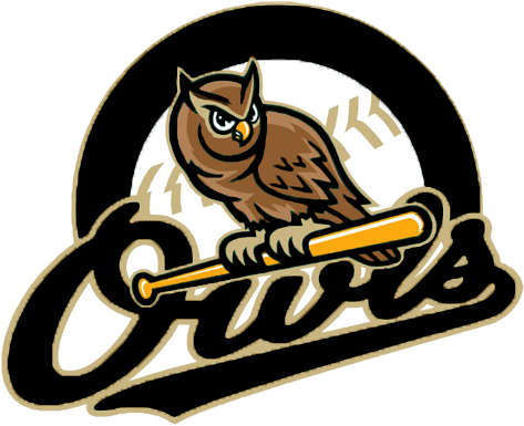 2018 Varsity Baseball Schedule - 2018 Varsity Baseball Schedule (590x467)