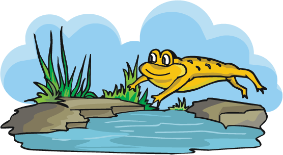 Play This Frog Memory Game From National Geographic - Play This Frog Memory Game From National Geographic (556x304)