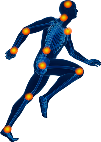 Steward Centers Of Orthopedics Sports Medicine Utah - Steward Centers Of Orthopedics Sports Medicine Utah (339x474)