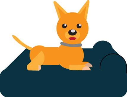 What Is An Orthopedic Dog Bed - What Is An Orthopedic Dog Bed (429x328)