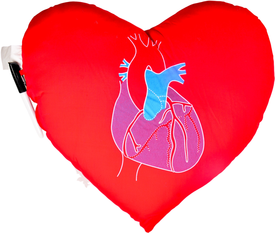 Heart Pillow - Heart Pillow (1024x852)