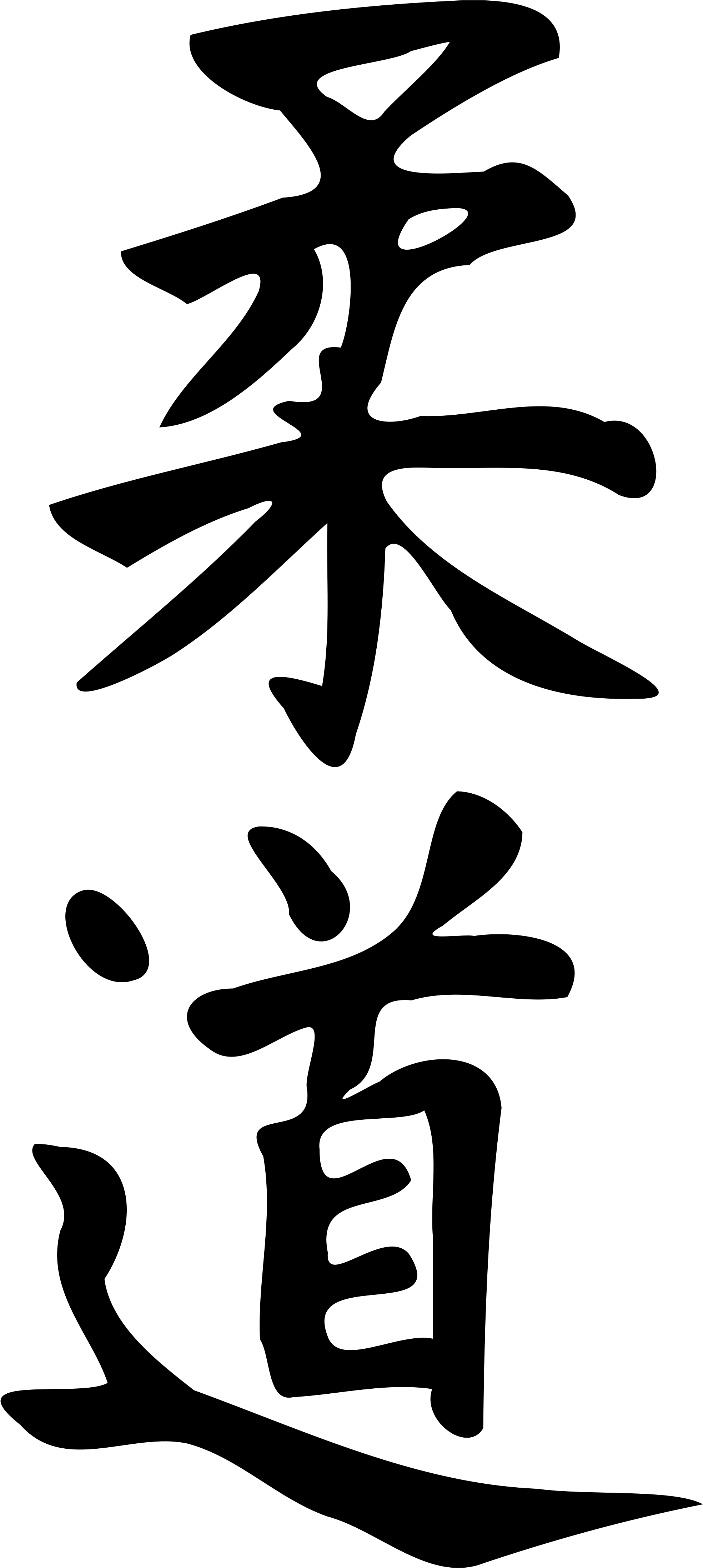 Calligraphie Japonaise Du Mot « Judo » - Calligraphie Japonaise Du Mot « Judo » (2000x4400)