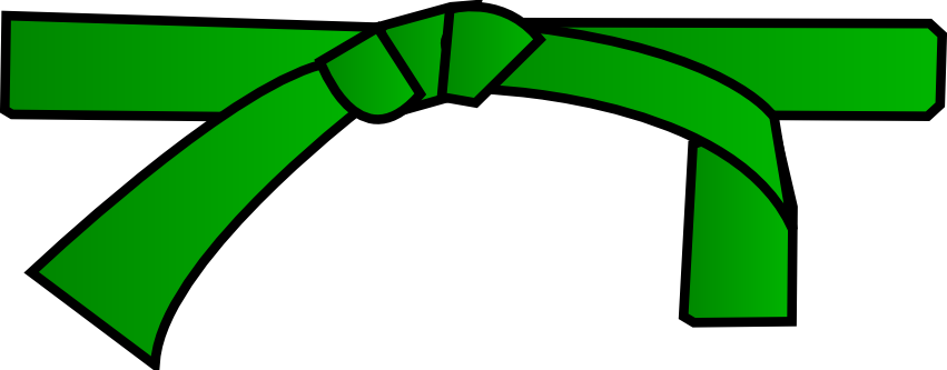 Grades Des Ceintures De Couleurs - Grades Des Ceintures De Couleurs (851x333)