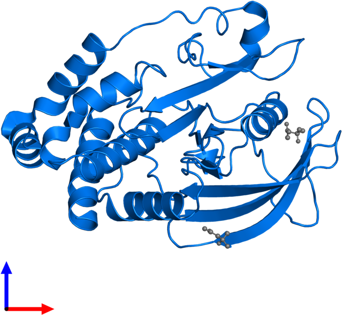 <div Class='caption-body'>pdb Entry 2cm2 Contains 1 - <div Class='caption-body'>pdb Entry 2cm2 Contains 1 (800x800)