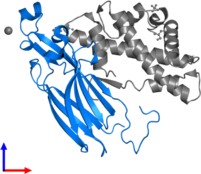 <div Class='caption-body'>pdb Entry 2hue Contains 1 - <div Class='caption-body'>pdb Entry 2hue Contains 1 (800x800)