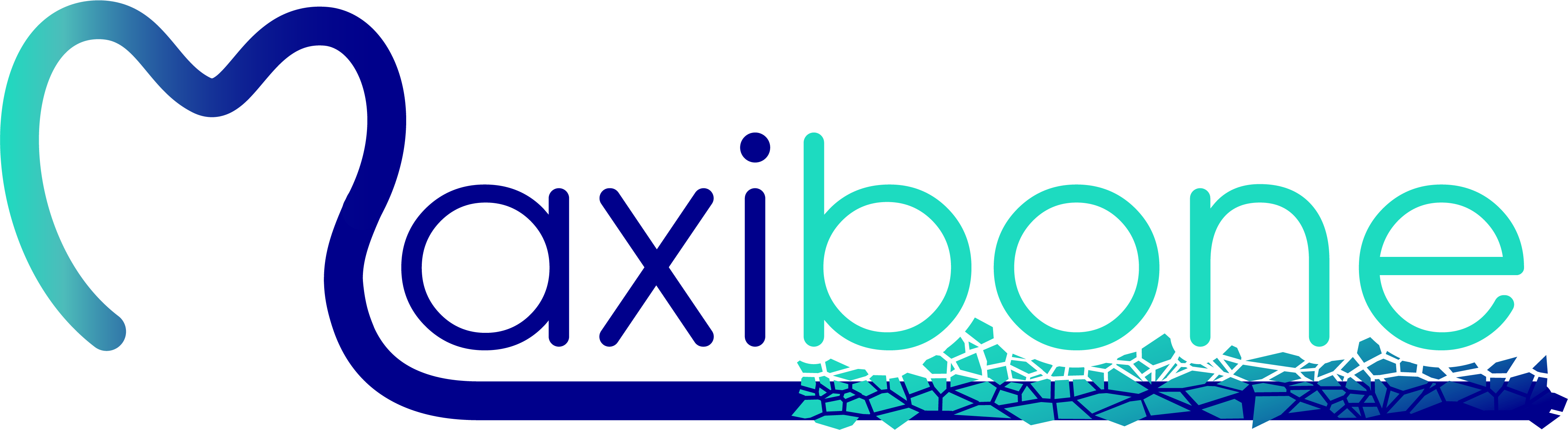 Eu Maxibone General Assembly 11-12 Feb - Eu Maxibone General Assembly 11-12 Feb (4208x1155)