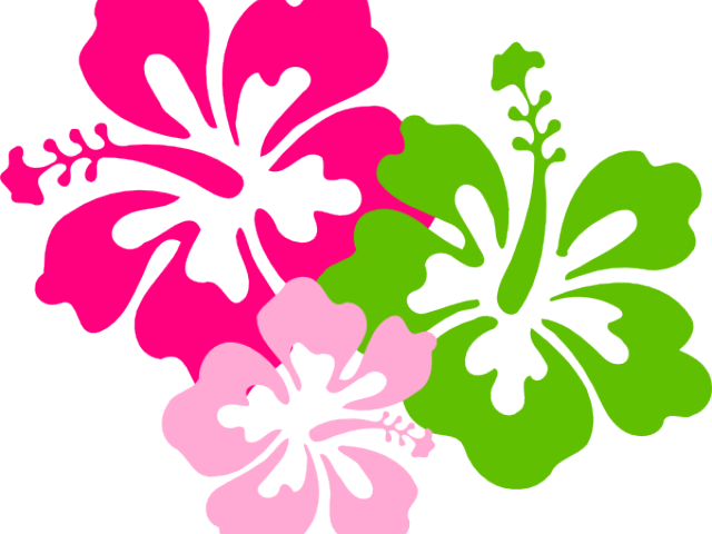 Hibiscus Clipart Colorful - Hibiscus Clipart Colorful (640x480)