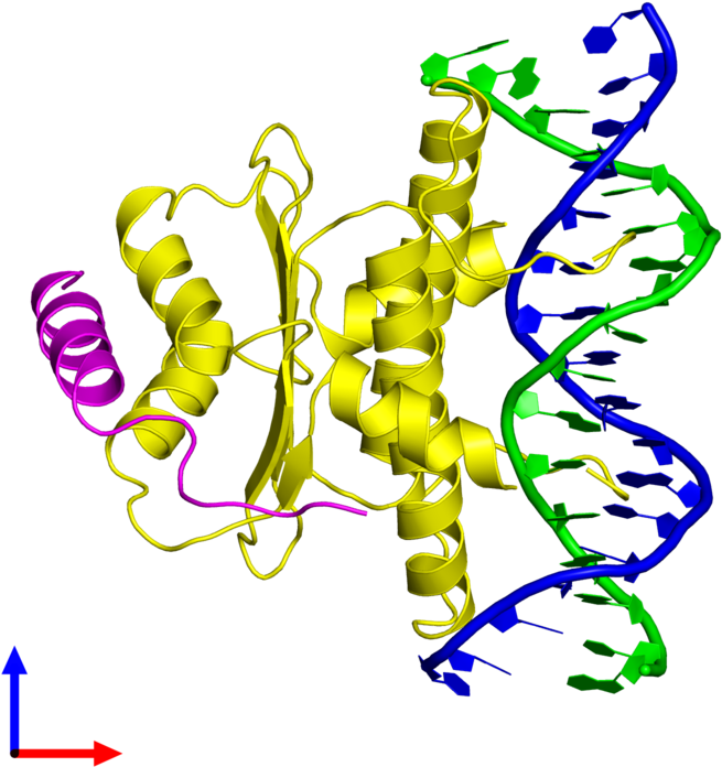 Pentameric Assembly 1 Of Pdb Entry 1tqe Coloured By - Pentameric Assembly 1 Of Pdb Entry 1tqe Coloured By (800x800)