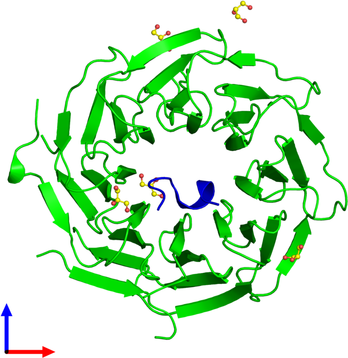 Dimeric Assembly 2 Of Pdb Entry 5naf Coloured By Chemically - Dimeric Assembly 2 Of Pdb Entry 5naf Coloured By Chemically (800x800)