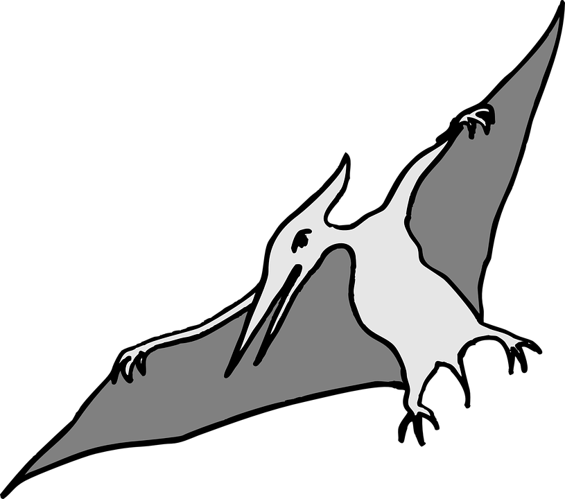 Dinosaur Clipart Bird - Dinosaur Clipart Bird (815x720)