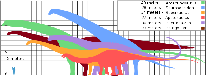 Discovery Of Biggest Dinosaur Ever Hailed By Scientists - Discovery Of Biggest Dinosaur Ever Hailed By Scientists (700x262)