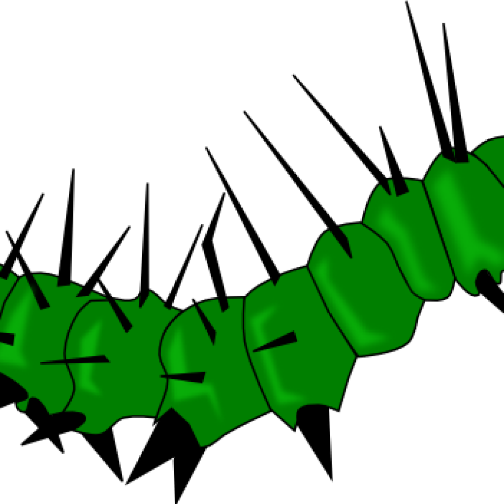 Free Caterpillar Clipart Caterpillar Clipart Caterpillar - Free Caterpillar Clipart Caterpillar Clipart Caterpillar (1024x1024)